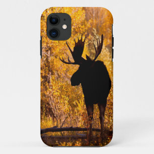 Case-Mate iPhone Case Orignal (Alces Alces) Mâle Dans Les Saules Dorés 2