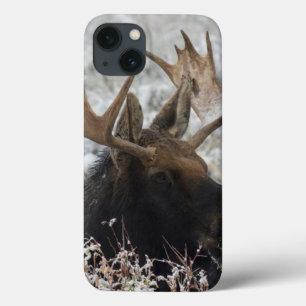Etui iPhone Case-Mate Orignal de Shiras