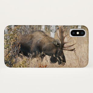 Case-Mate iPhone Case Orignal mâle en pâture