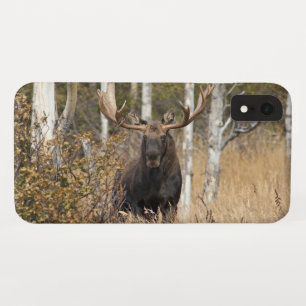 Case-Mate iPhone Case Orignaux impressionnants de Taureau