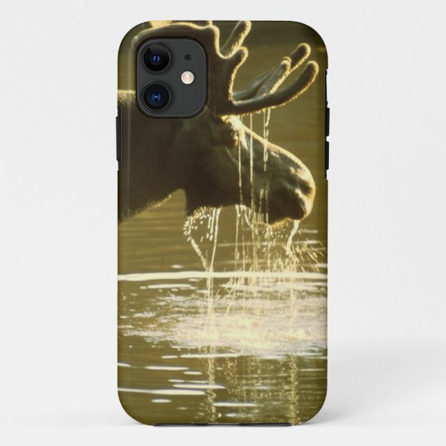 Coques Case-Mate iPhone Orignaux potables - couverture de l'iPhone 5 de (Dos)