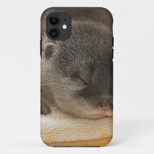 Coques Pour iPhone Otter endormi