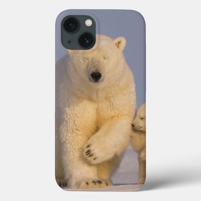 Coques Case-Mate iPhone ours blanc, maritimus d'Ursus, truie avec 3 (Verso)