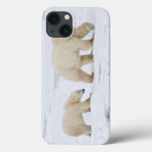 Etui iPhone 13 Ours blancs femelles et deux petits animaux 2