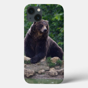 Etui iPhone Case-Mate Ours Brown