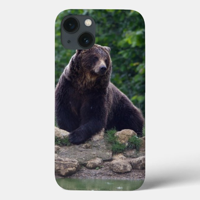 Coques Case-Mate iPhone Ours Brown (Verso)