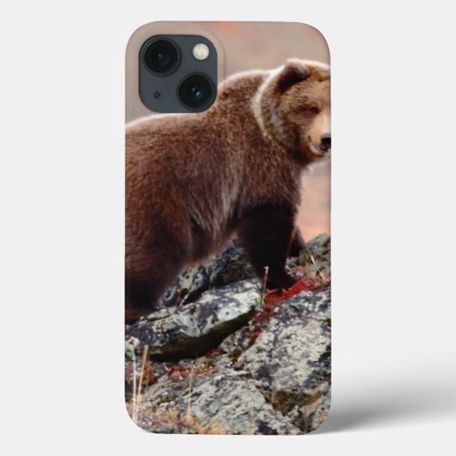 Coques Case-Mate iPhone Ours Brown de Denali (Verso)