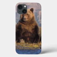 ours brun, Ursus arctos, grizzly, Ursus