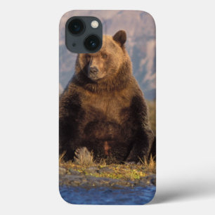 Etui iPhone 13 ours brun, Ursus arctos, grizzly, Ursus