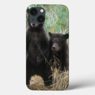 Coques Pour iPhone ours brun, Ursus arctos, grizzly, Ursus 7 2