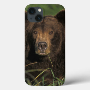 Case-Mate iPhone Case ours brun, Ursus arctos, grizzly, Ursus 9