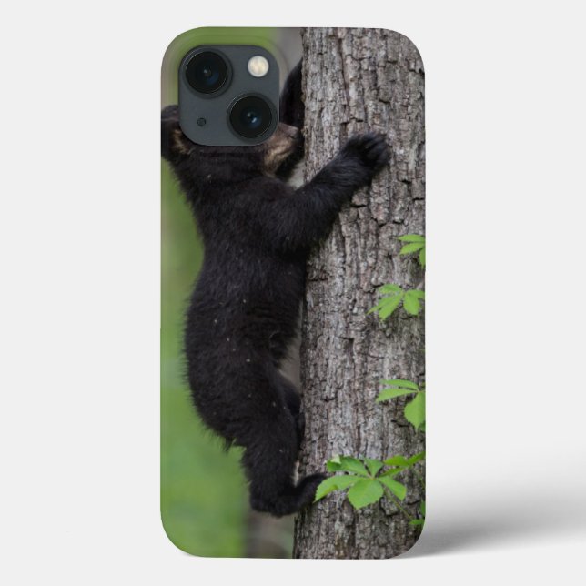 Coques Case-Mate iPhone Ours en peluche grimpant à un arbre (Verso)