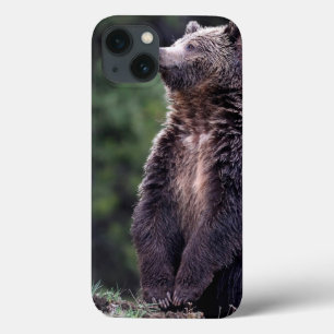 Etui iPhone 13 Ours gris debout