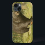 Coque Case-Mate iPhone Ours noir sur un tronc d'arbre<br><div class="desc">Ce dessin d'Oliver Kemp illustre un ours brun qui marche sur un arbre tombé dans une forêt. Les couleurs vert pastel sont apaisantes pour l'oeil et créent une agréable sensation de chaleur de l'éveil de la nature au printemps. Un grand ajout à tout décor rustique de maison!</div>