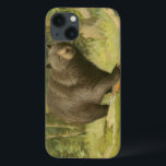 Etui iPhone Case-Mate Ours noir sur un tronc d'arbre<br><div class="desc">Ce dessin d'Oliver Kemp illustre un ours brun qui marche sur un arbre tombé dans une forêt. Les couleurs vert pastel sont apaisantes pour l'oeil et créent une agréable sensation de chaleur de l'éveil de la nature au printemps. Un grand ajout à tout décor rustique de maison!</div>