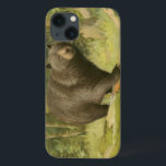 Etui iPhone Case-Mate Ours noir sur un tronc d'arbre<br><div class="desc">Ce dessin d'Oliver Kemp illustre un ours brun qui marche sur un arbre tombé dans une forêt. Les couleurs vert pastel sont apaisantes pour l'oeil et créent une agréable sensation de chaleur de l'éveil de la nature au printemps. Un grand ajout à tout décor rustique de maison!</div>