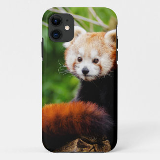 Coque Case-Mate iPhone Ours panda rouge mignon