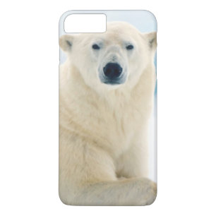 Case-Mate iPhone Case Ours polaire adulte grand verrat sur la glace en é