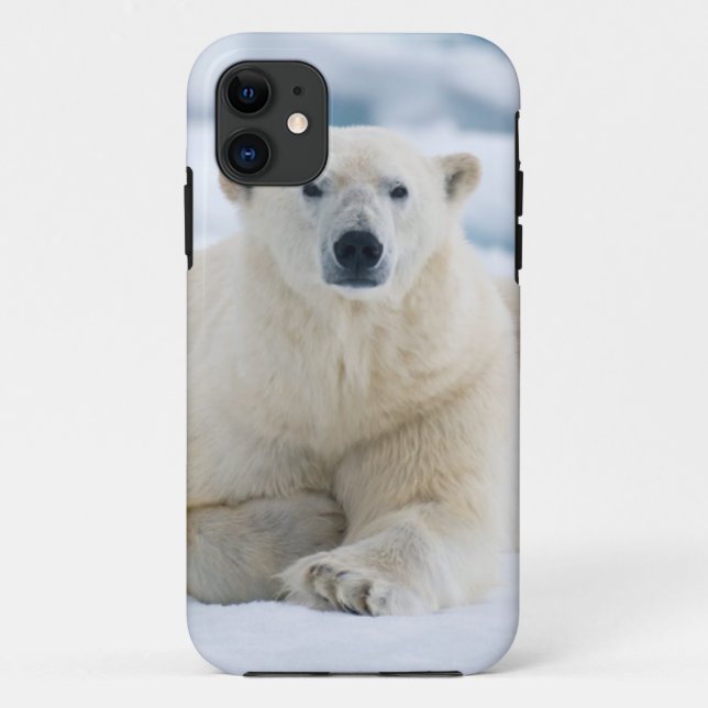 Coques Case-Mate iPhone Ours polaire adulte sur la banquise estivale (Dos)