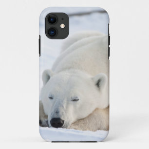 Coque Case-Mate Pour iPhone Ours polaire en hiver