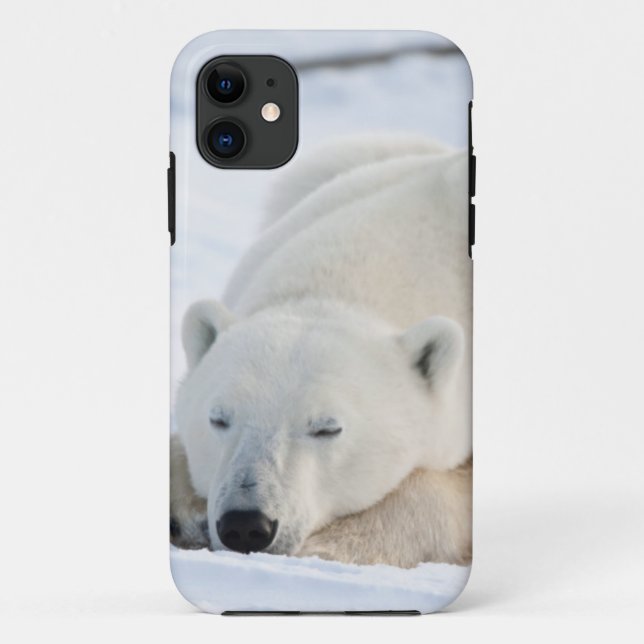 Coques Case-Mate iPhone Ours polaire en hiver (Dos)