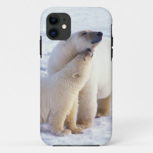 Coques Pour iPhone Ours polaire femelle avec ourson, meute