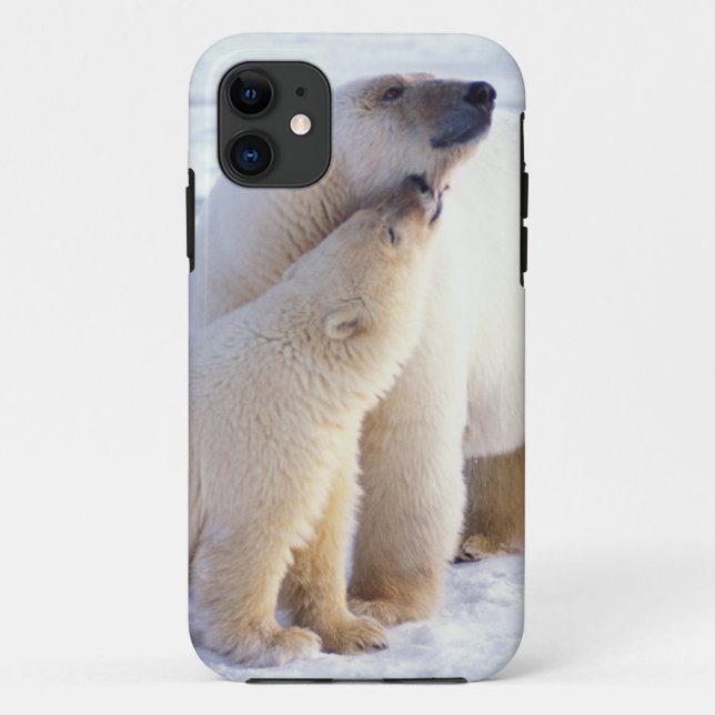 Coques Case-Mate iPhone Ours polaire femelle avec ourson, meute (Dos)