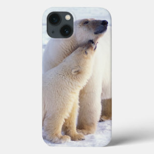 Coque Case-Mate iPhone Ours polaire femelle avec ourson, meute