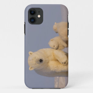 Coque iPhone 11 ours polaire, Ursus maritimus, truie avec nouveau-