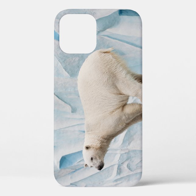 Coques Case-Mate iPhone Ours polaire : Zoo Habitat Aperçu (Verso)