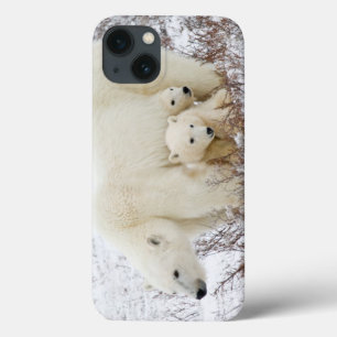 iPhone 13 Coque Ours polaires femelle et deux oursons