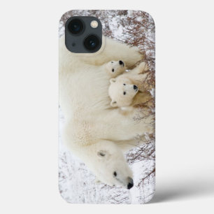 Coque Case-Mate iPhone Ours polaires femelle et deux oursons