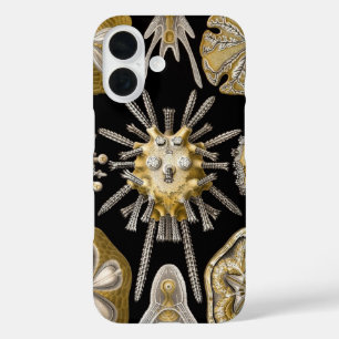 Coque Pour iPhone 16 Oursins Vintage Dollars de Sable par Ernst Haeckel