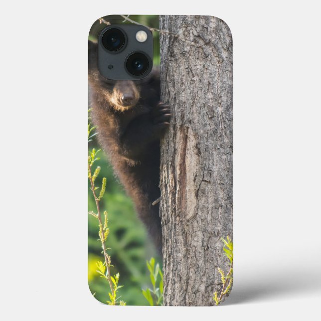 Coques Case-Mate iPhone Ourson noir au printemps (Verso)