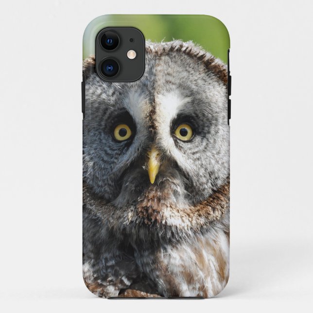 Coques Case-Mate iPhone Owl_20180219_by_JAMFoto (Dos)