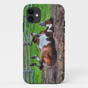 Coque Case-Mate iPhone Paint Rolling Horse Equine Photo pour les amateurs