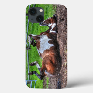 Etui iPhone 13 Paint Rolling Horse Equine Photo pour les amateurs