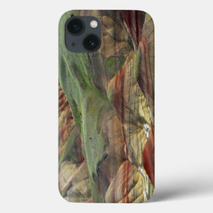 Etui iPhone 13 Painted Hills, John Day Fossil Beds, Mitchell