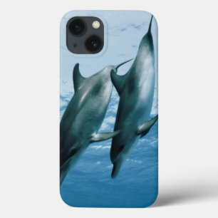 Etui iPhone 13 Paire de dauphins