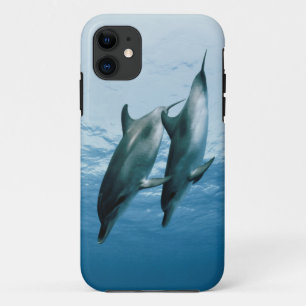 Coque iPhone 11 Paire de dauphins