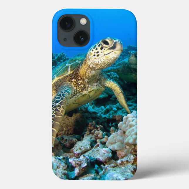 Coques Case-Mate iPhone Paire de tortue (Verso)
