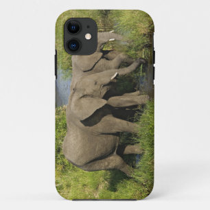 Coques Pour iPhone Paire d'éléphants d'Afrique Masai Mara