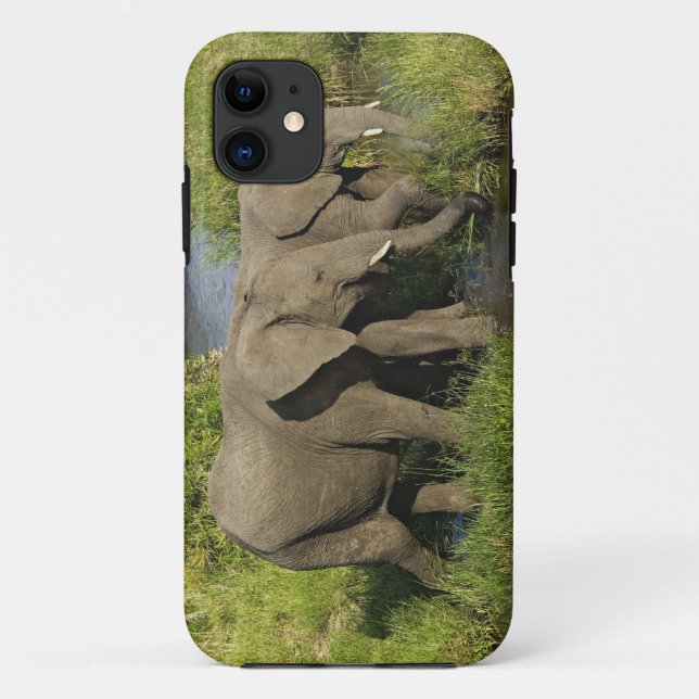 Coques Case-Mate iPhone Paire d'éléphants d'Afrique Masai Mara (Dos)