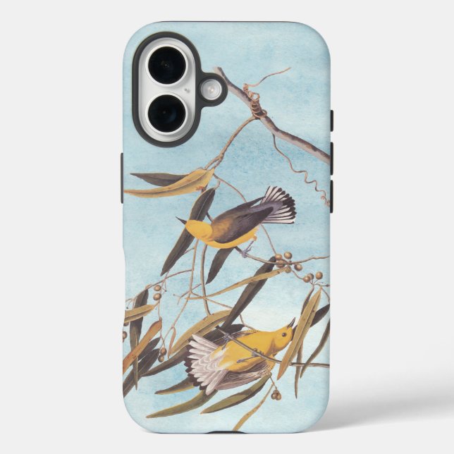 Coques Case-Mate iPhone Paire ornithologique jaune d'Audubon (Verso)