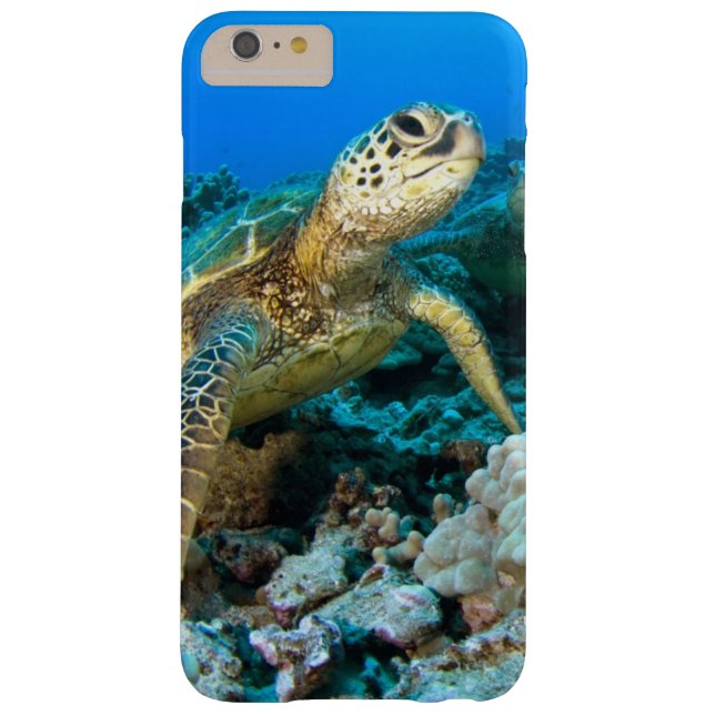Coques Case-Mate iPhone Paires de tortue (Dos)