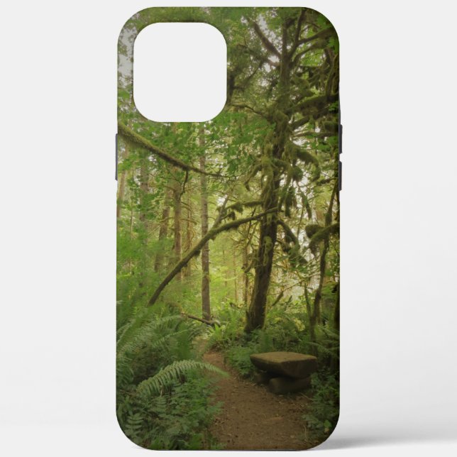 Coques Case-Mate iPhone Paisible Green Forest Trail Washington (Verso)