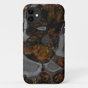 Coques Pour iPhone Pallasite