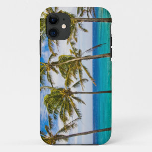 Coques Pour iPhone Palmiers à noix de coco (Cocos nucifera) se balanç