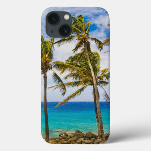 iPhone 13 Coque Palmiers à noix de coco (Cocos nucifera) se balanç