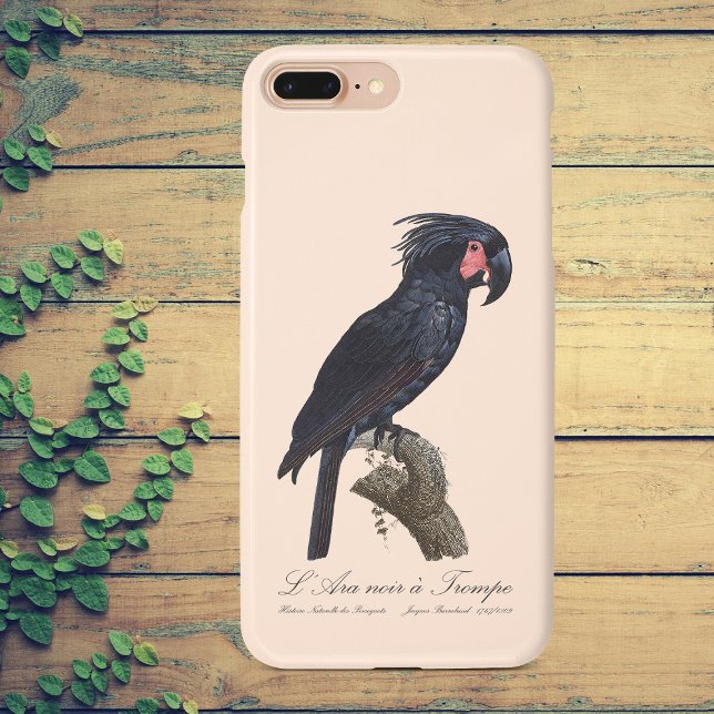 Coques Case-Mate iPhone Palmisano Cacatoès, perroquet Probosciger aterrimu (L' Ara Noir a Trompe / Palm Cockatoo. iPhone Case)